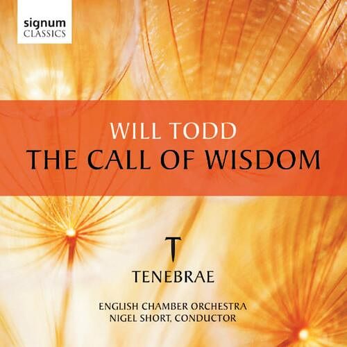 Foto van The call of wisdom - cd (0635212029824)