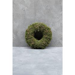 Foto van Couronne krans moss ø30cm