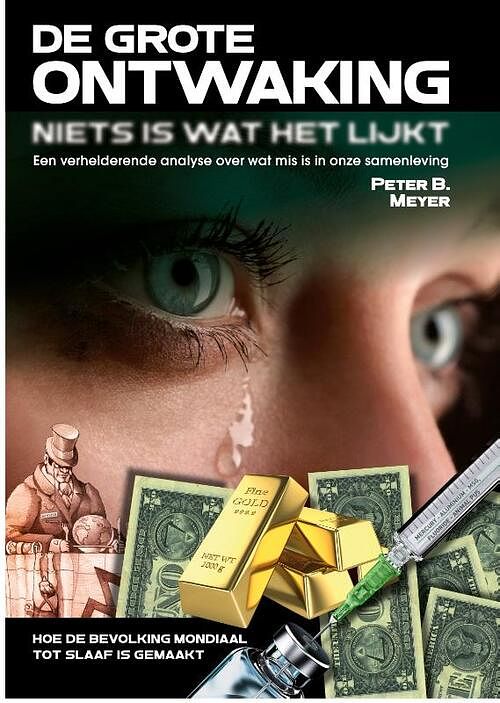 Foto van De ontwaking: niets is wat het lijkt! - peter b. meyer - paperback (9789079680962)