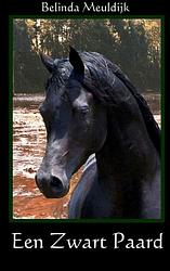 Foto van Een zwart paard - belinda meuldijk - paperback (9789402102536)