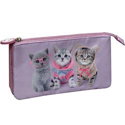 Foto van Studio pets kittens - etui - 22 cm - multi