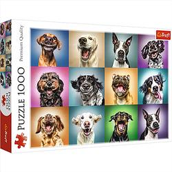 Foto van Massamarkt puzzel grappige honden 1000 stukjes