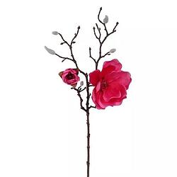 Foto van Buitengewoon de boet - magnolia tak beauty 63 cm kunstplant