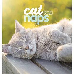 Foto van Cat naps kalender 2023 easel desktop