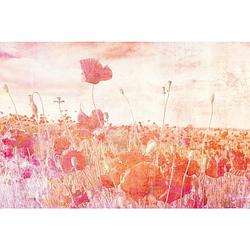 Foto van Dimex poppies abstract fotobehang 375x250cm 5-banen