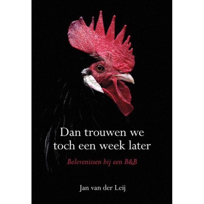 Foto van Dan trouwen we toch een week later