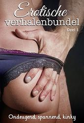 Foto van Erotische verhalenbundel - diverse auteurs - ebook (9789464496512)
