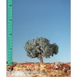 Foto van Silhouette 245-12 boom olijfboom 1 stuk(s)