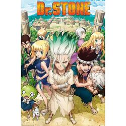 Foto van Abystyle dr stone groupe poster 61x91,5cm