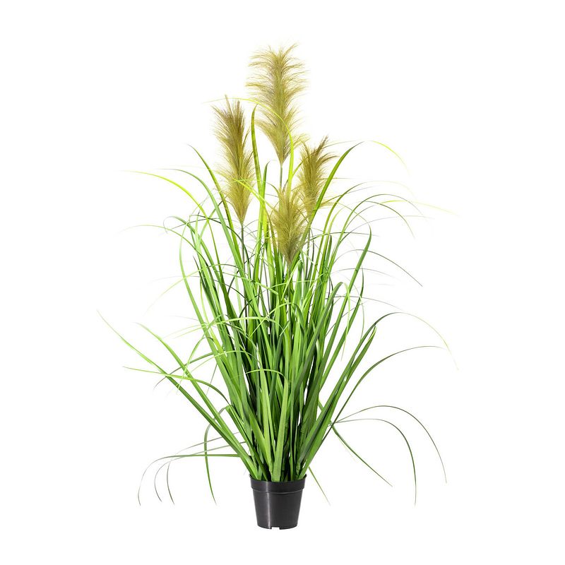 Foto van Kopu® kunstplant chinees riet 120 cm - 4 pluimen - in zwarte pot