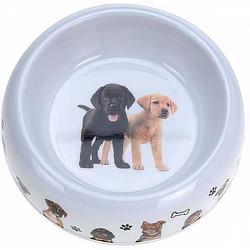 Foto van Dogs collection hondenvoer- en drinkbak dia 16 cm wit