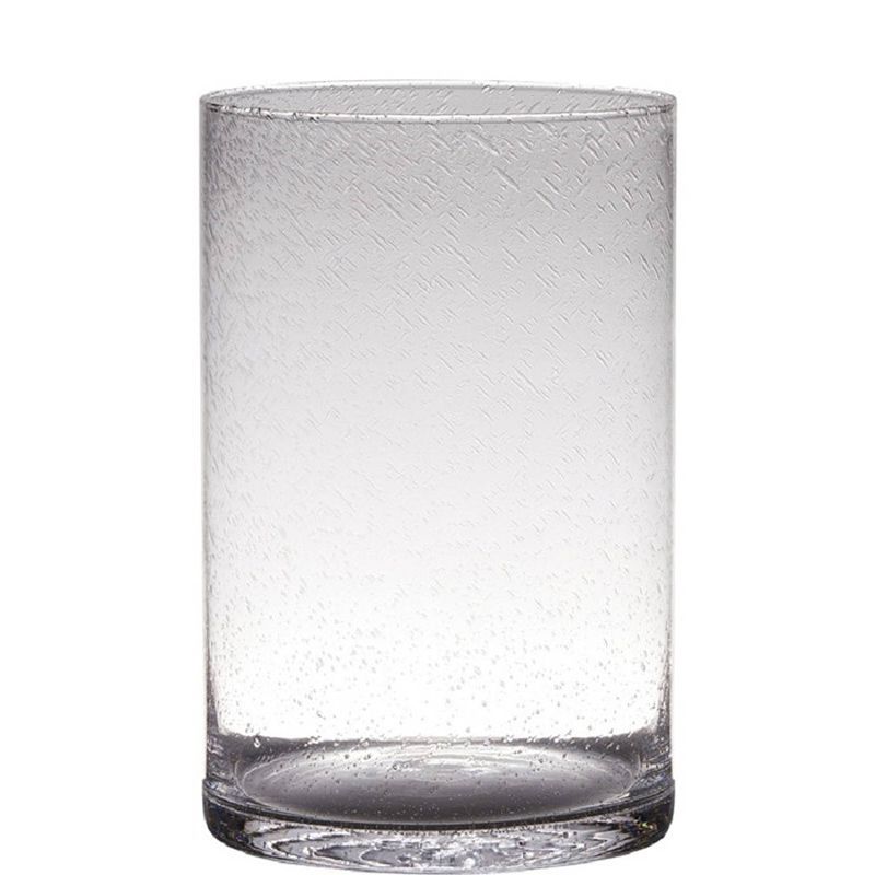 Foto van Transparante home-basics cylinder vorm vaas/vazen van bubbel glas 30 x 19 cm - vazen