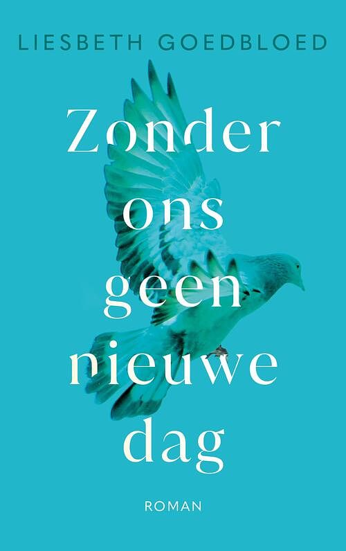 Foto van Zonder ons geen nieuwe dag - liesbeth goedbloed - ebook (9789023961475)