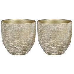 Foto van 2x stuks plantenpot/bloempot champagne met flakes patroon - d24/h22 cm - plantenpotten