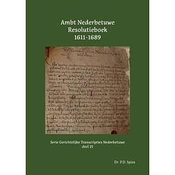 Foto van Ambt nederbetuwe resolutieboek 1611-1689 - serie