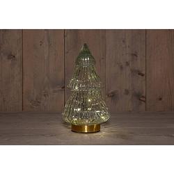 Foto van Anna'ss collection - b.o.t. tree glass 15x28,5 cm clear with golden base 10led