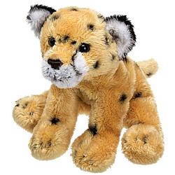 Foto van Pluche cheetah/jachtluipaard knuffeldier van 13 cm - knuffeldier