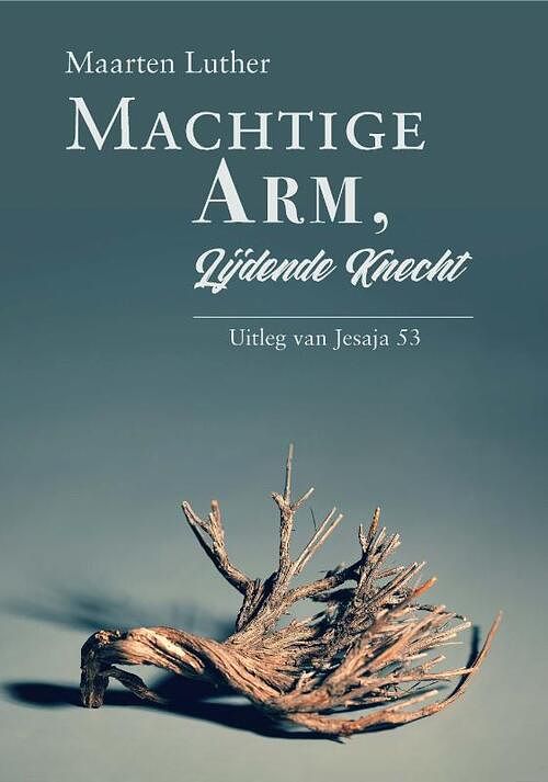 Foto van Machtige arm, lijdende knecht - maarten luther - hardcover (9789087187323)