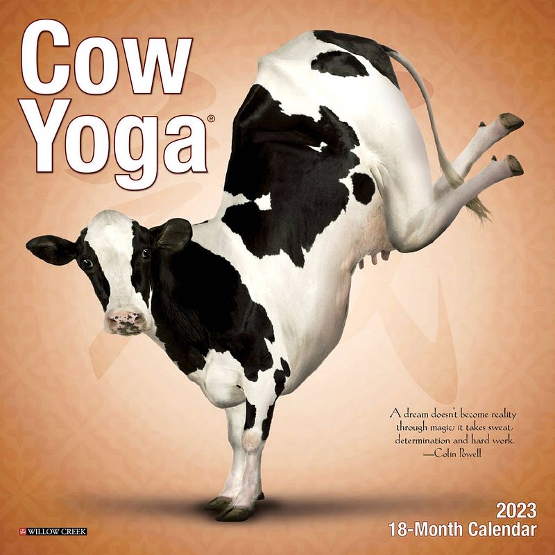 Foto van Cow yoga kalender 2023 mini