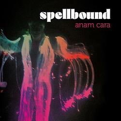 Foto van Anam cara - cd (8713762011949)