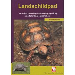 Foto van De landschildpad - over dieren