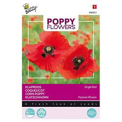 Foto van 3 stuks - buzzy - poppies of the world klaproos rhoeas rood