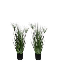 Foto van 2x groene papyrus kunstplanten 76 cm in zwarte pot - kunstplanten/nepplanten