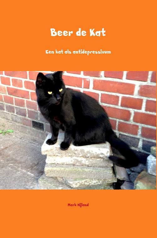 Foto van Beer de kat - mark nijland - ebook