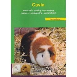 Foto van De cavia - over dieren