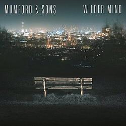 Foto van Wilder mind - lp (8717931327091)