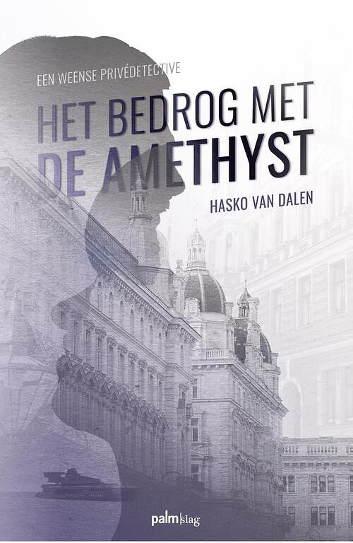 Foto van Het bedrog met de amethyst - hasko van dalen - ebook (9789493059764)