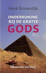 Foto van Onderkoning bij de gratie gods - henk binnendijk - ebook (9789029796507)