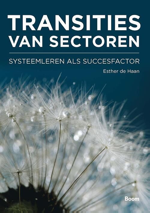 Foto van Transities van sectoren - esther de haan - ebook (9789461279828)