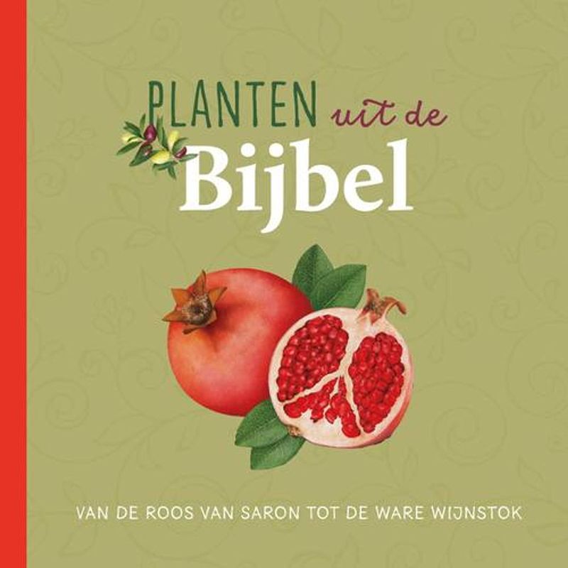 Foto van Planten uit de bijbel