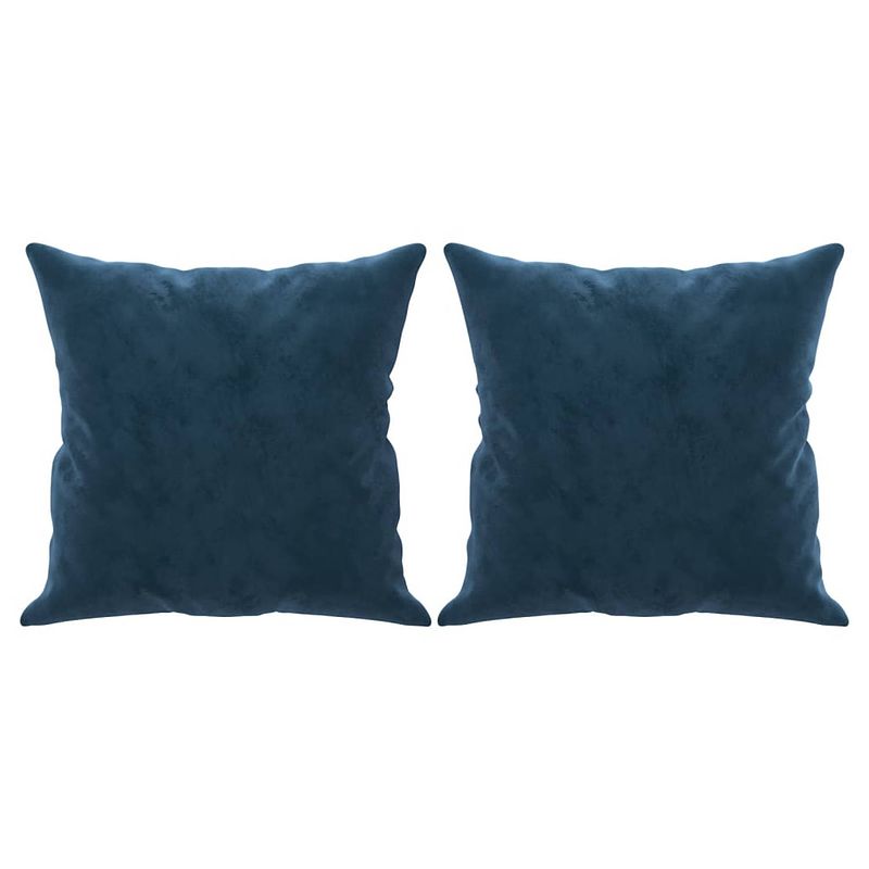 Foto van Vidaxl sierkussens 2 st 40x40 cm fluweel blauw