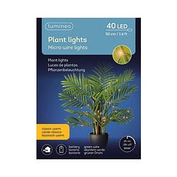 Foto van Lumineo - plant lights l40h50 cm groen/kwrm kerst