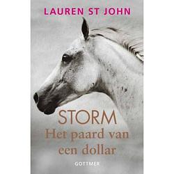 Foto van Het paard van een dollar - storm