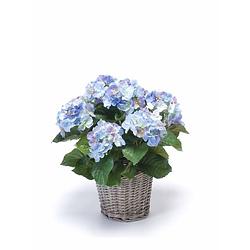 Foto van Kunstplant blauwe hortensia in mand 45 cm - kunstplanten/nepplanten