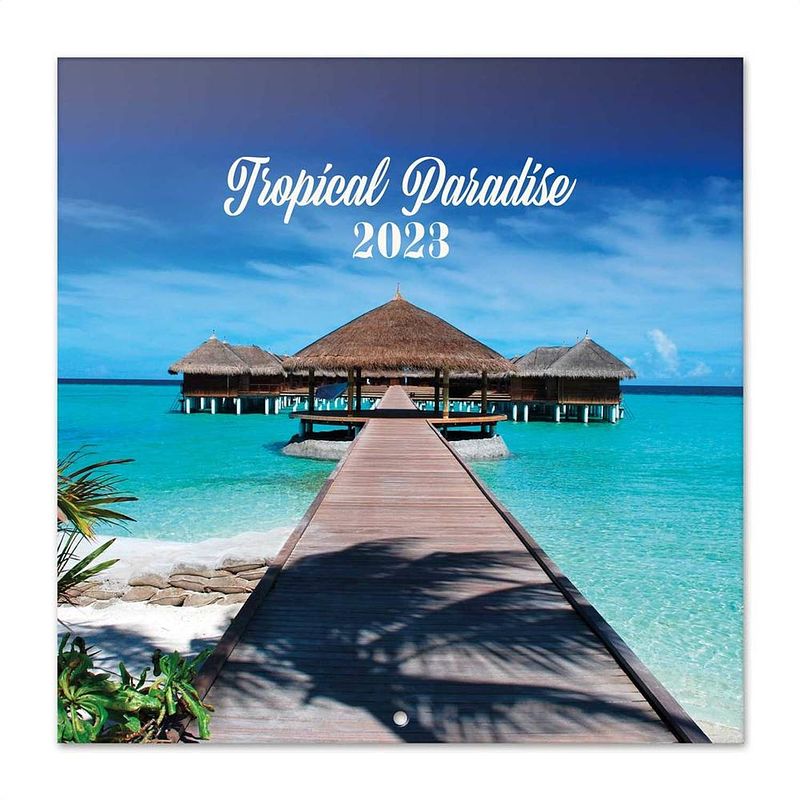 Foto van Tropical paradise kalender 2023