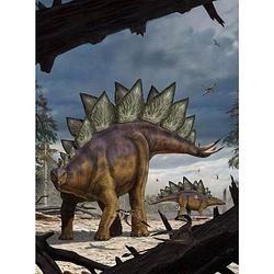 Foto van Komar stegosaurus vlies fotobehang 184x248cm 2-banen