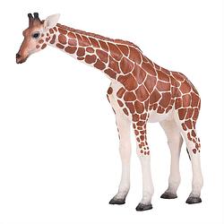 Foto van Mojo wildlife speelgoed giraf vrouwtje - 381033