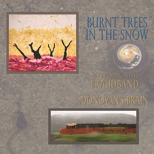 Foto van Burnt trees in the snow - lp (0619197999952)