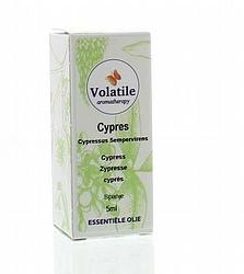 Foto van Volatile cypres (cypressus sempervirens) 5ml