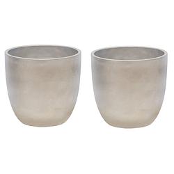 Foto van Plantenpot/bloempot - 2x - keramiek - zilver - bladmotief - d14 x h13 cm - plantenpotten