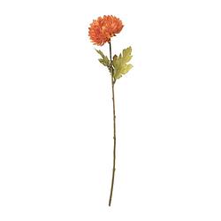 Foto van Chrysant - oranje - 58 cm