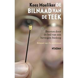 Foto van De bilnaad van de teek