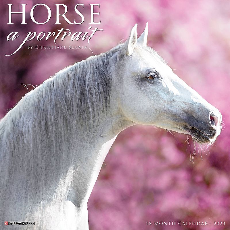 Foto van Horse a portrait kalender 2023