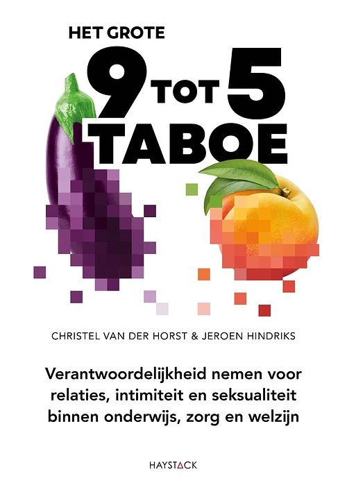 Foto van Het grote 9-tot-5-taboe - christel van der horst, jeroen hindriks - ebook