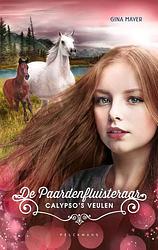 Foto van De paardenfluisteraar 6 - gina mayer - hardcover (9789463375634)