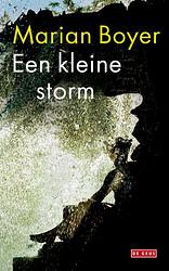 Foto van Een kleine storm - marian boyer - ebook (9789044519525)